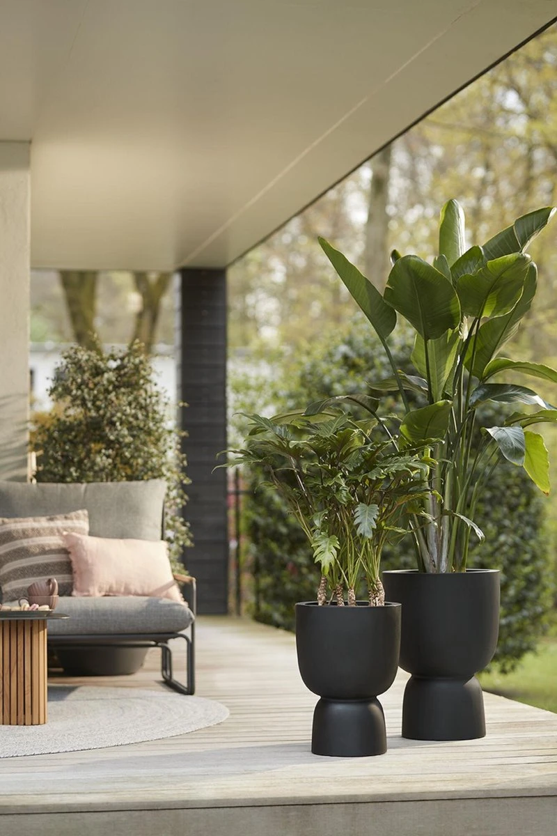 Elho Pure Coupe 41 - Bloempot Voor Binnen & Buiten - Ø 41.3 X H 57.9 Cm - Zwart/Zwart - Afbeelding 3