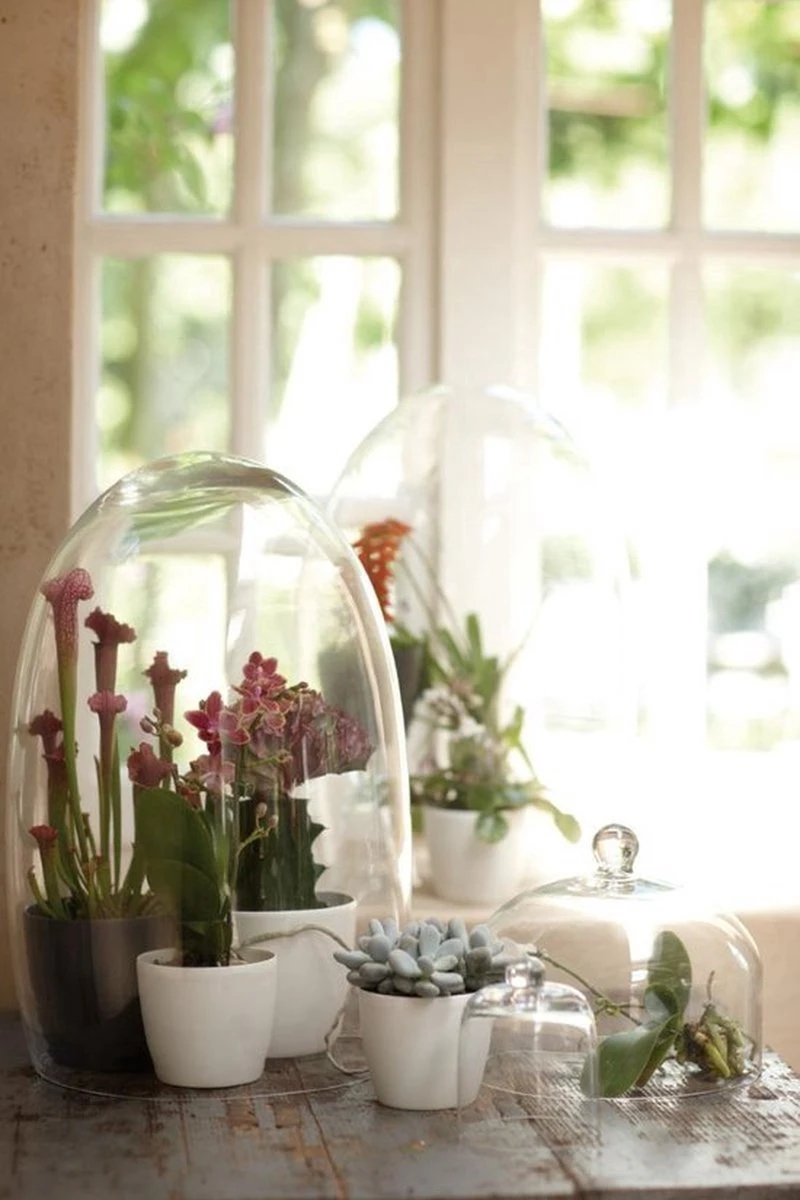 Elho B.for Soft Rond 35 - Bloempot Voor Binnen - Ø 34.5 X H 32.3 Cm - Antraciet - Afbeelding 14