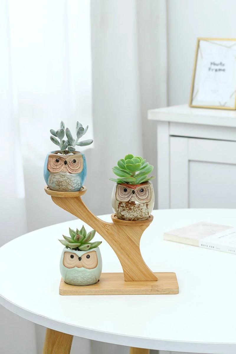 Luxe Bamboe Houten Boom Met 3 Keramiek Uil Bloempotten/Plantenpotten Op Standaard/Voet Voor Binnen En Buiten - Modern Design Bloempot/Plantenpot Op Poten/Pootjes-Plantenbak Mini Cactus Nep Plant Pot Houder - Kleine Bloembakken Plantenrek/Plantenkurk - Afbeelding 6