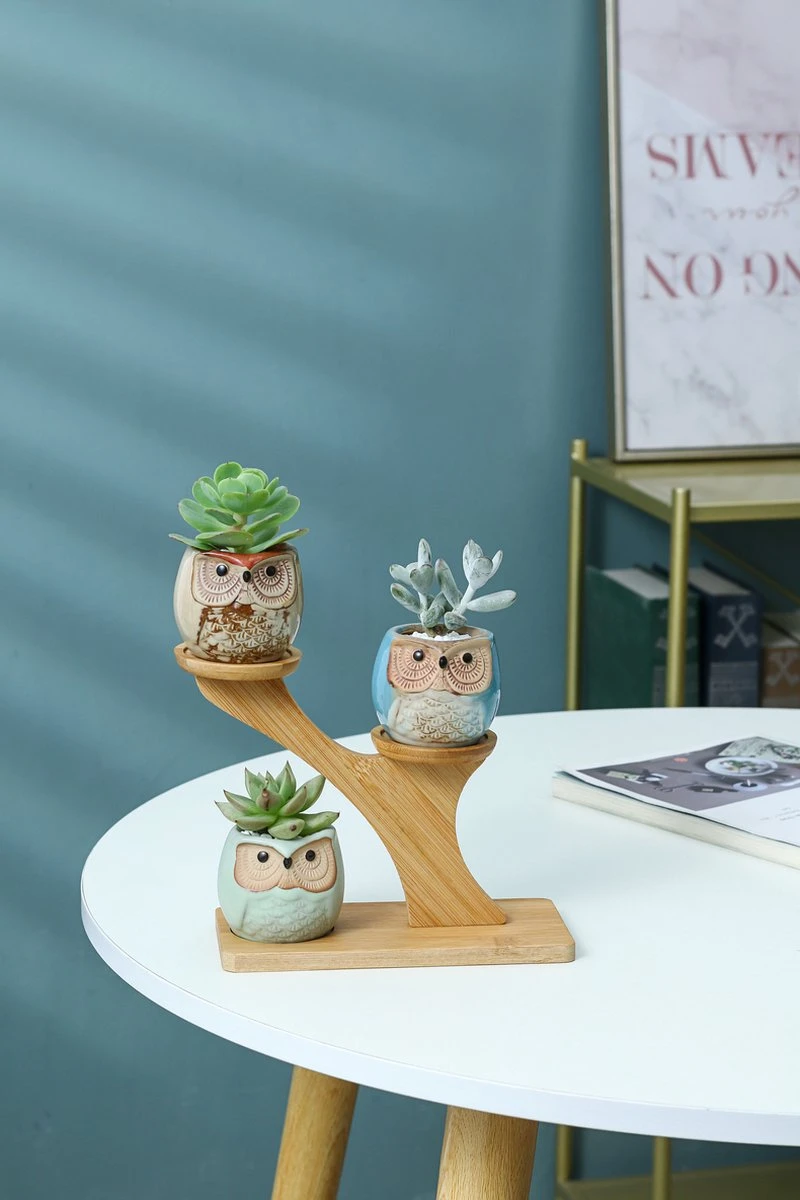 Luxe Bamboe Houten Boom Met 3 Keramiek Uil Bloempotten/Plantenpotten Op Standaard/Voet Voor Binnen En Buiten - Modern Design Bloempot/Plantenpot Op Poten/Pootjes-Plantenbak Mini Cactus Nep Plant Pot Houder - Kleine Bloembakken Plantenrek/Plantenkurk - Afbeelding 8