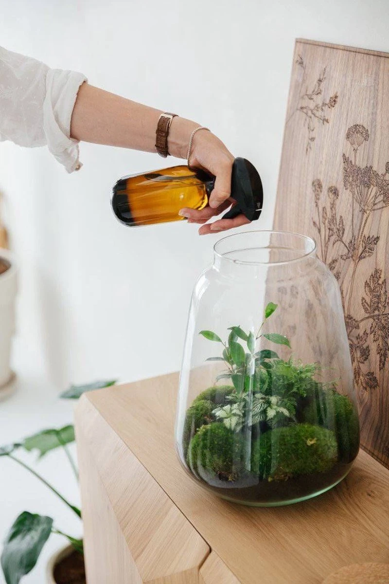 24DOTS Living Plantenspuit | 500 Ml Bruin Amber Glas | Plantensproeier | Plantenspuit Binnen | Waterverstuiver | Vernevelaar - Afbeelding 4