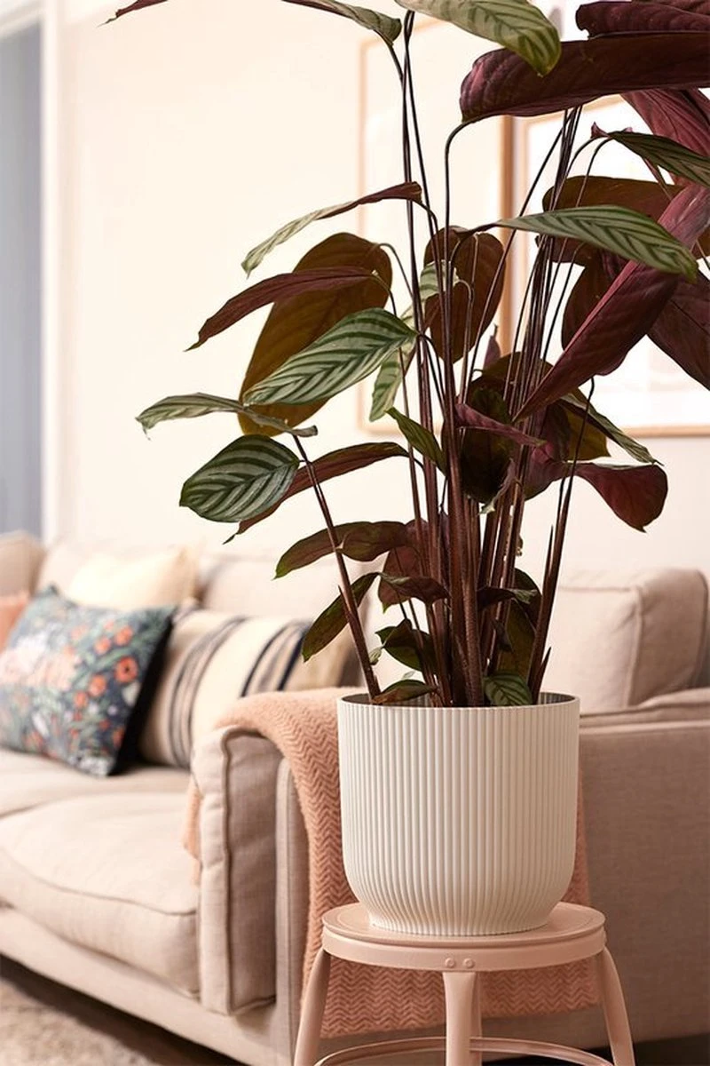 Elho Vibes Fold Rond 30 - Bloempot Voor Binnen - Ø 29.5 X H 27.2 Cm - Zijdewit - Afbeelding 6