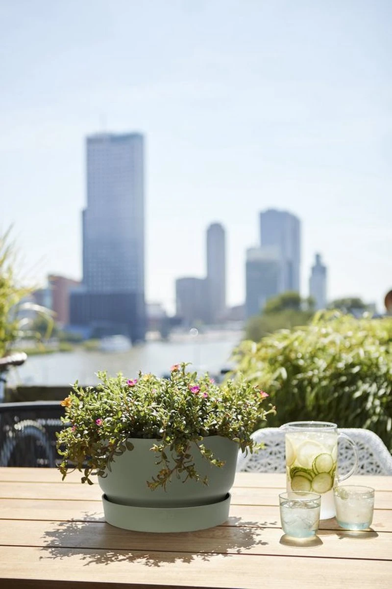 Elho Greenville Schaal 33 - Bloempot Voor Buiten - Ø 32.5 X H 19.4 Cm - Groen/Blad Groen - Afbeelding 4