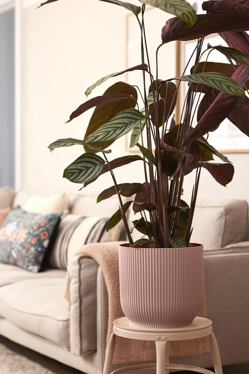 Elho Vibes Fold Rond Wielen 35 - Bloempot Voor Binnen - Ø 34.9 X H 32.4 Cm - Delicaat Roze - Afbeelding 3