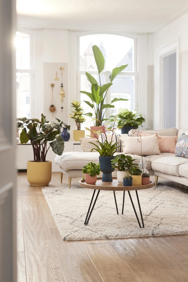 Elho Vibes Fold Rond Wielen 35 - Bloempot Voor Binnen - Ø 34.9 X H 32.4 Cm - Delicaat Roze - Afbeelding 4