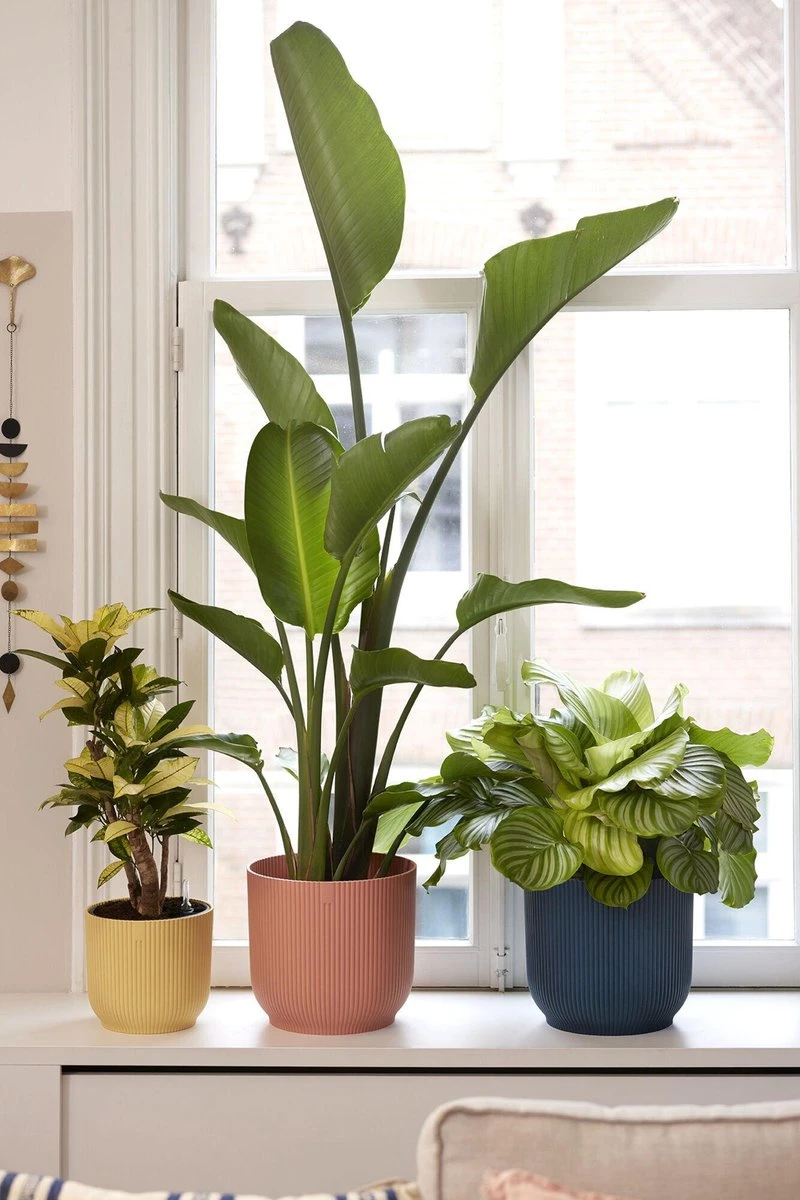 Elho Vibes Fold Rond 25 - Bloempot Voor Binnen - Ø 25.0 X H 23.0 Cm - Delicaat Roze - Afbeelding 3