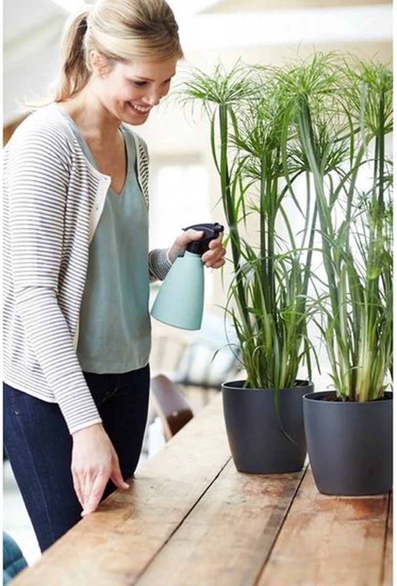 Elho Brussels Sprayer 12 - Plantenspuit Voor Binnen - Ø 11.3 X H 22.3 Cm - Groen/Mint - Afbeelding 3