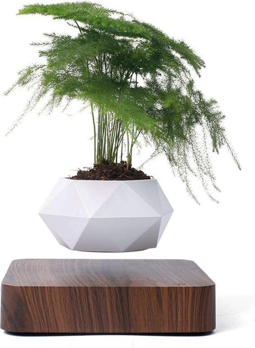 Floatey Design Plant | Zwevende Plant - Bloempot (levitation)