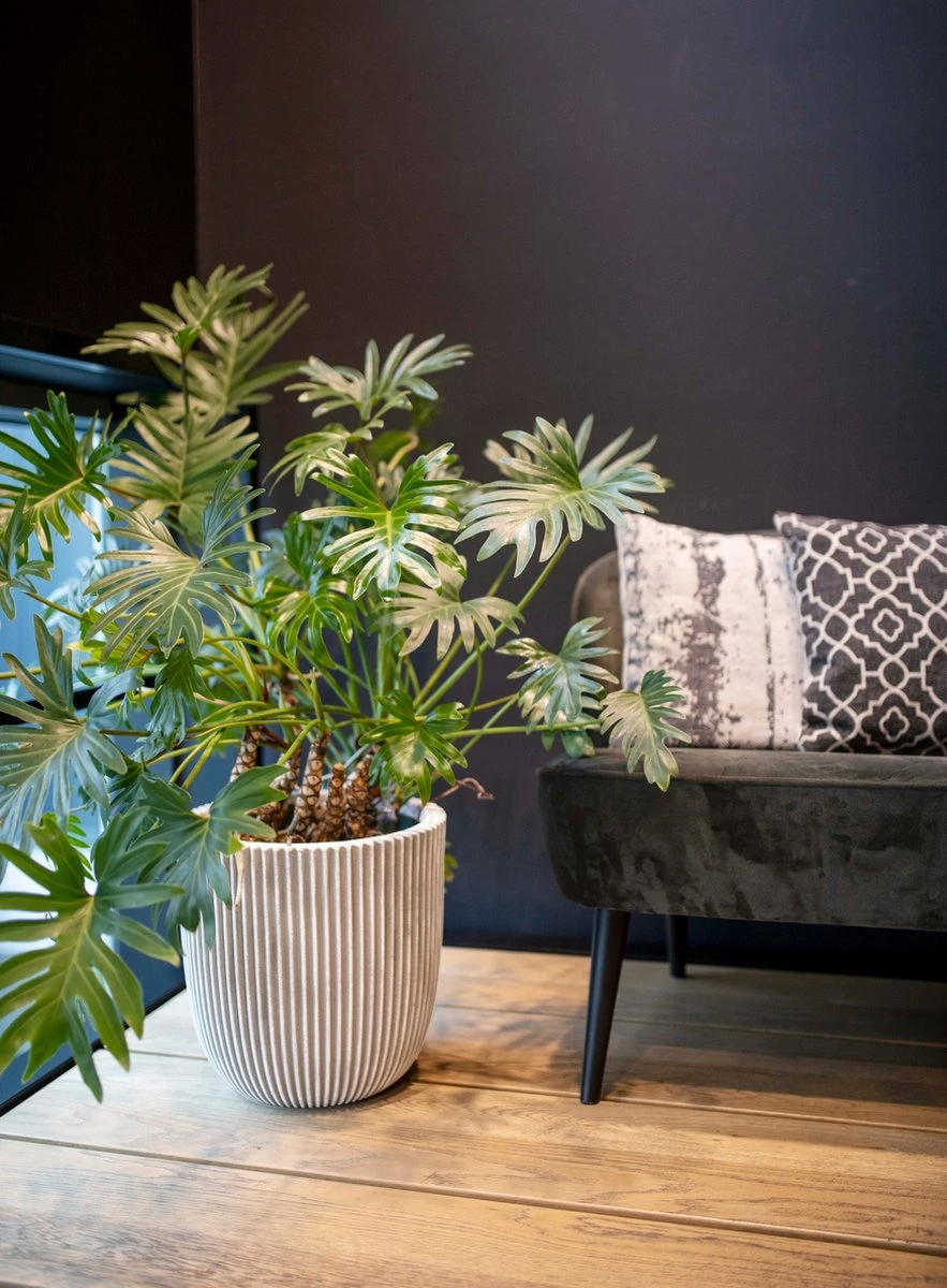 Capi Europe - Bloempot Bol Groove NL - 35x34 - Goud - Voor Binnen En Buiten - KGVGB932 - Afbeelding 3