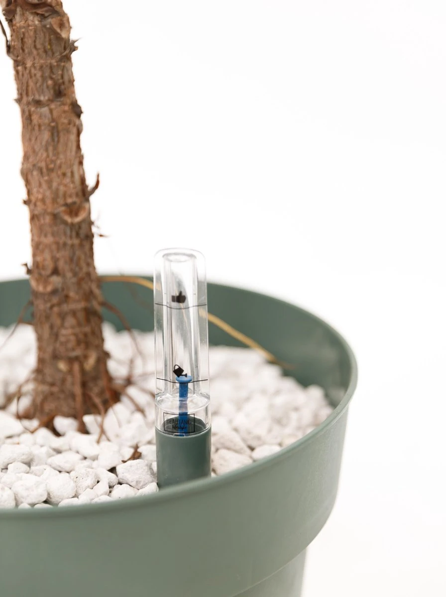 Watermeter Planten (Hydrokit) Ø30cm - Afbeelding 2