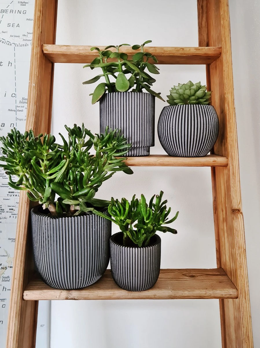 Capi Europe - Set Van 4 - Bloempot Binnen - Groove - Antraciet - Afbeelding 4