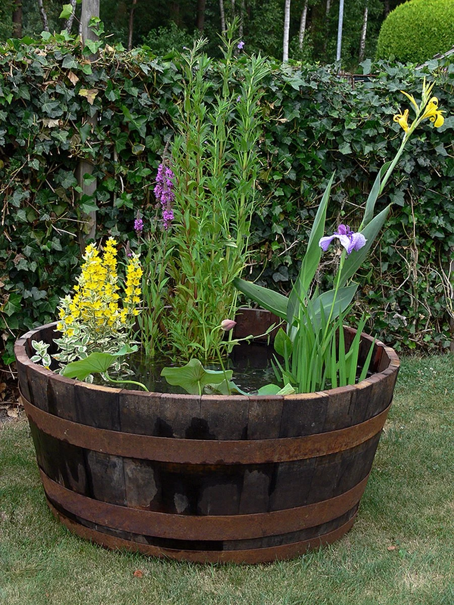 Whiskyvat Kuip 1/2 240l. (authentiek) - Afbeelding 2