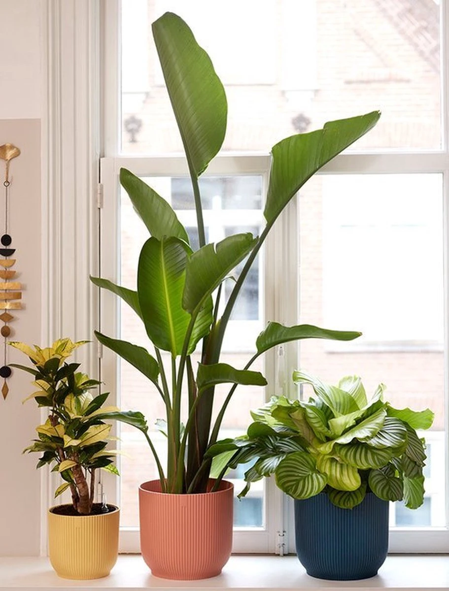 Elho Vibes Fold Rond 25 - Bloempot Voor Binnen - Ø 25.0 X H 23.0 Cm - Delicaat Roze - Afbeelding 7