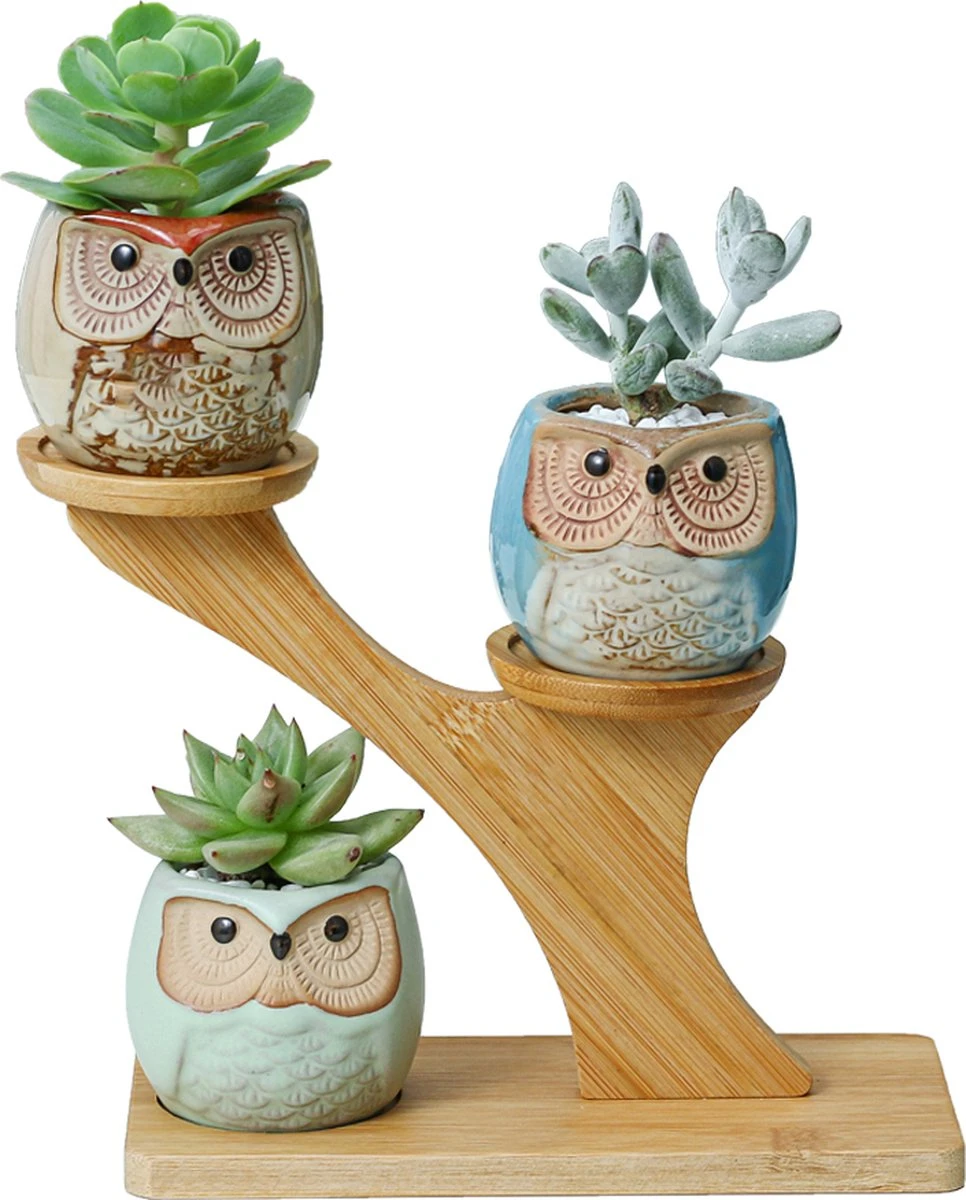 Luxe Bamboe Houten Boom Met 3 Keramiek Uil Bloempotten/Plantenpotten Op Standaard/Voet Voor Binnen En Buiten - Modern Design Bloempot/Plantenpot Op Poten/Pootjes-Plantenbak Mini Cactus Nep Plant Pot Houder - Kleine Bloembakken Plantenrek/Plantenkurk