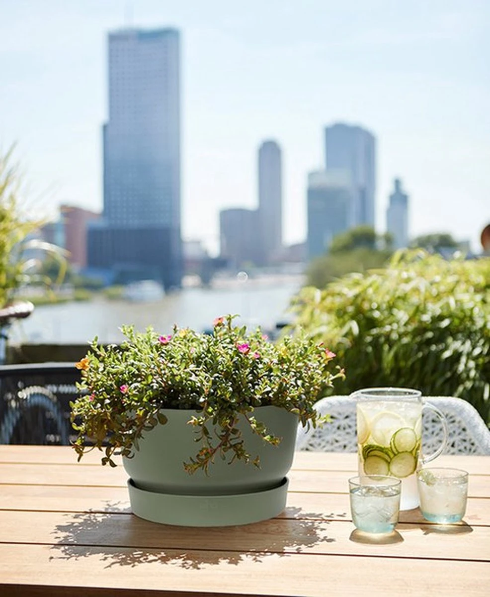 Elho Greenville Schaal 33 - Bloempot Voor Buiten - Ø 32.5 X H 19.4 Cm - Groen/Blad Groen - Afbeelding 3