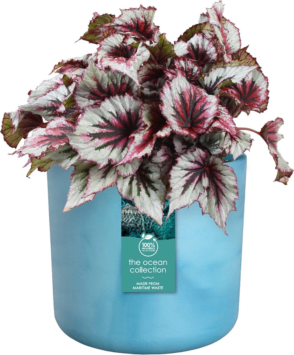 Elho The Ocean Collection Round 22cm - Bloempot Voor Binnen - 100% Gerecycled Materiaal - Gemaakt Met Zeeafval - Ø 22.3 X H 20.4 Cm - Atlantisch Blauw - Afbeelding 2